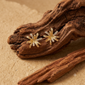 Solstice Starburst Earrings